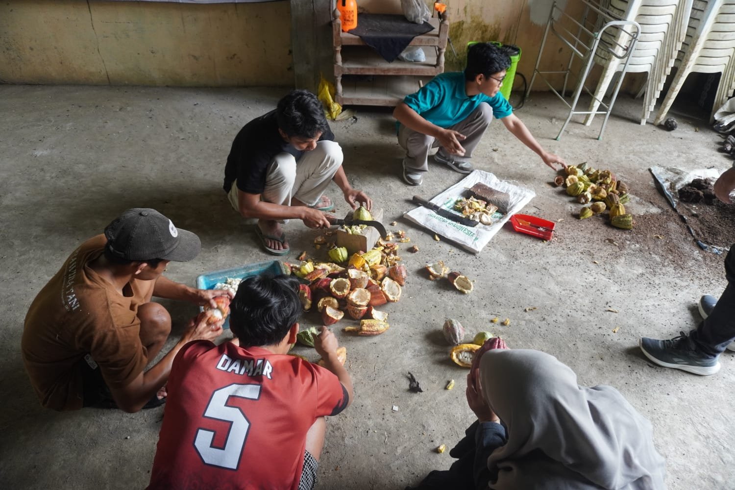 Proses Produksi BIOKAO 2